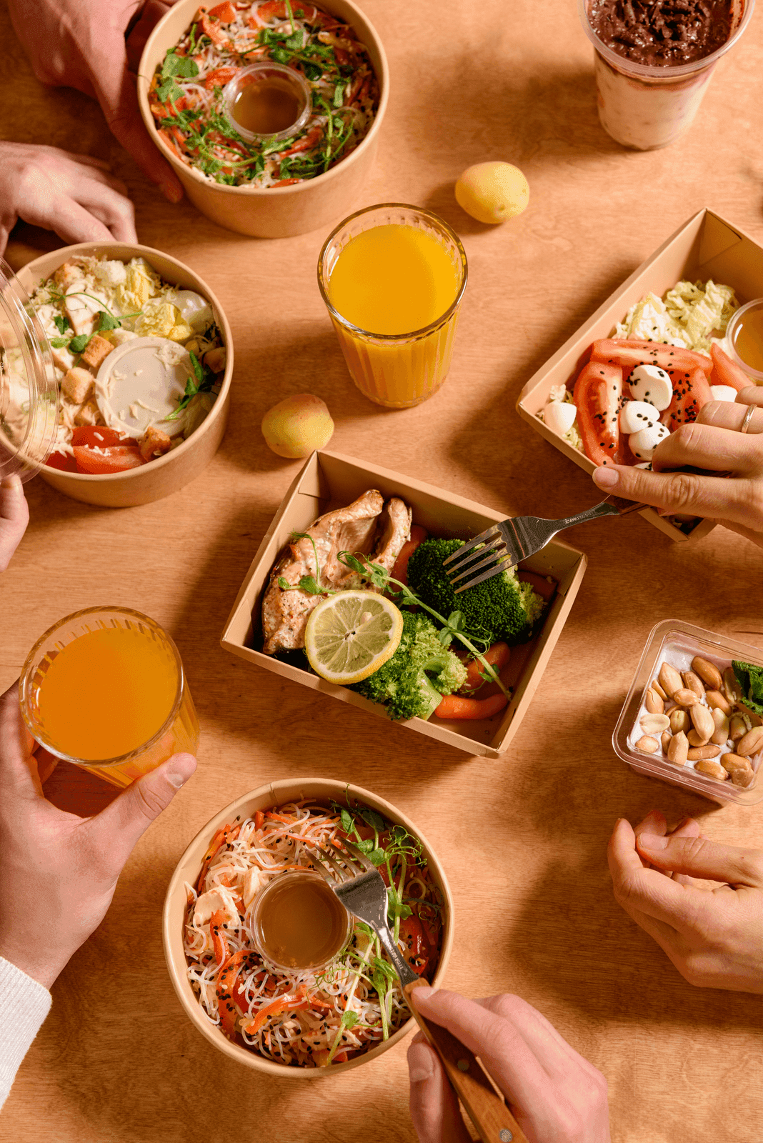 ProfitFood meal-plan delivery in Dubai
